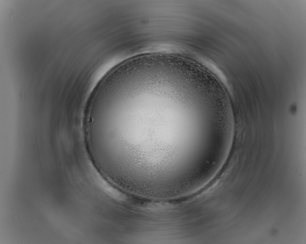 X0000093091091200709261223