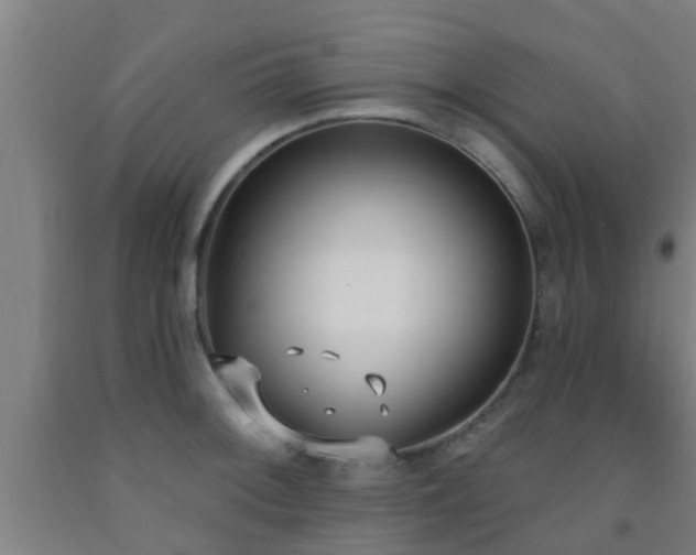 X0000093091092200709261223