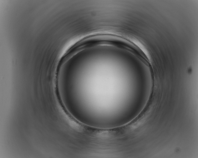 X0000093091093200709261223