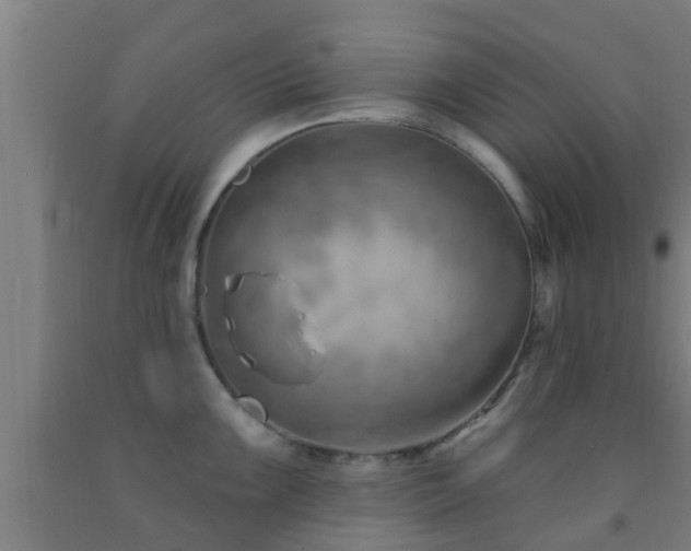 X0000093091099200709261223