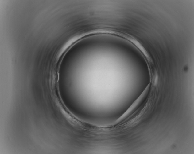 X0000093091101200709261223