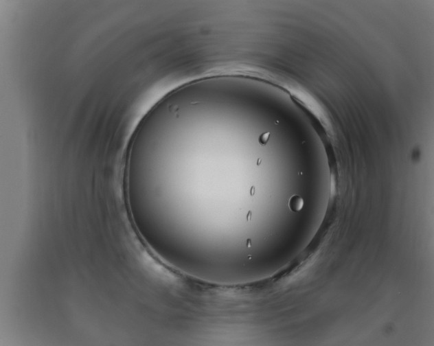 X0000093091102200709261223
