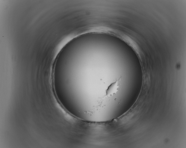 X0000093091103200709261223
