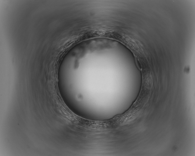 X0000093091105200709261223