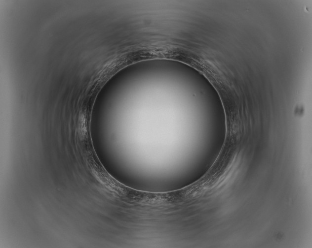 X0000093091106200709261223