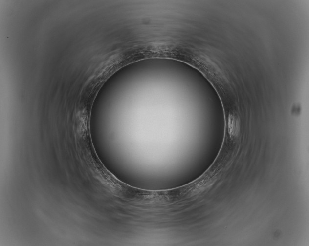 X0000093091107200709261223