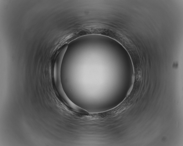 X0000093091108200709261223