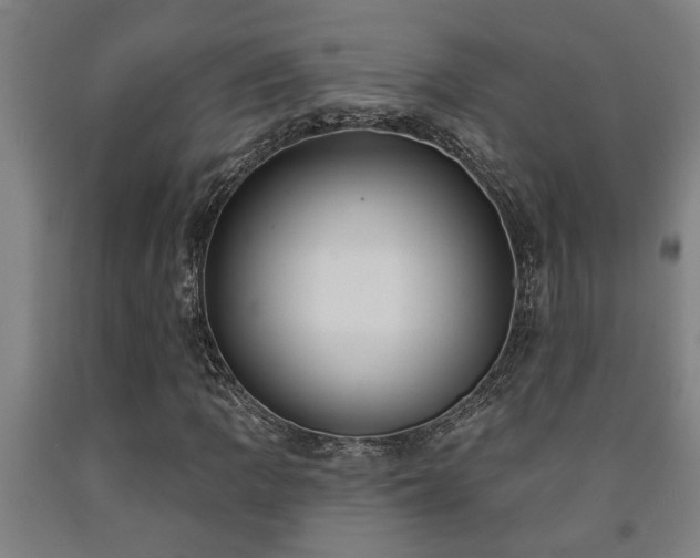 X0000093091109200709261223