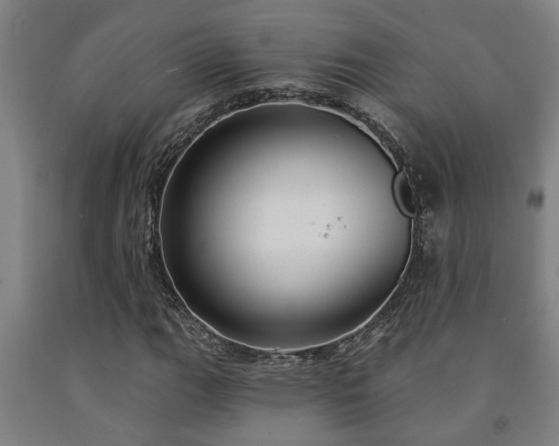 X0000093091111200709261223