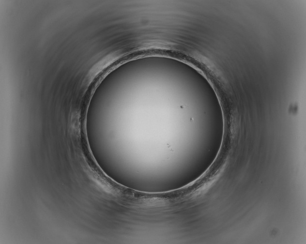 X0000093091113200709261223