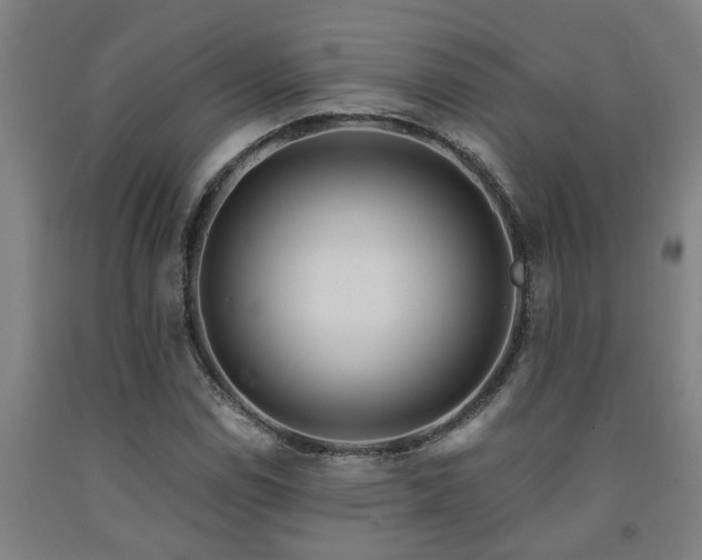 X0000093091114200709261223