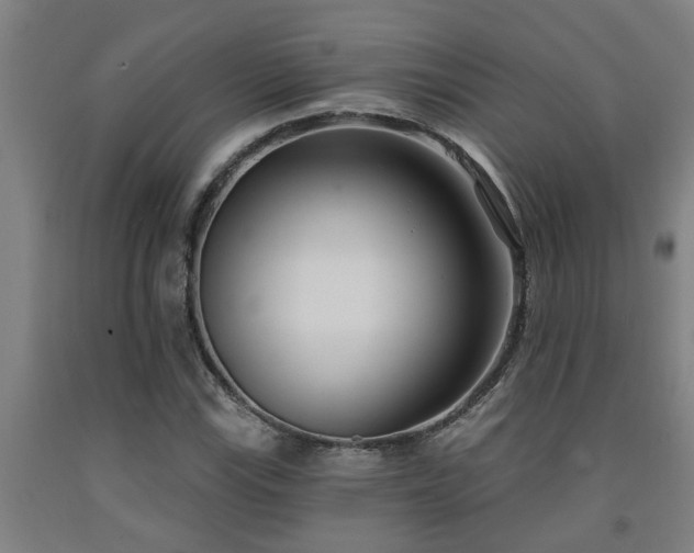 X0000093091115200709261223