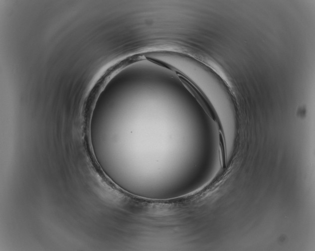 X0000093091116200709261223
