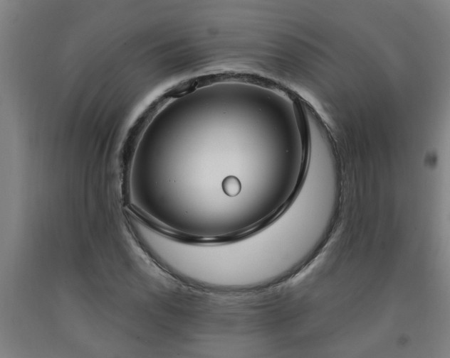 X0000093091118200709261223