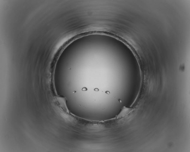 X0000093091119200709261223