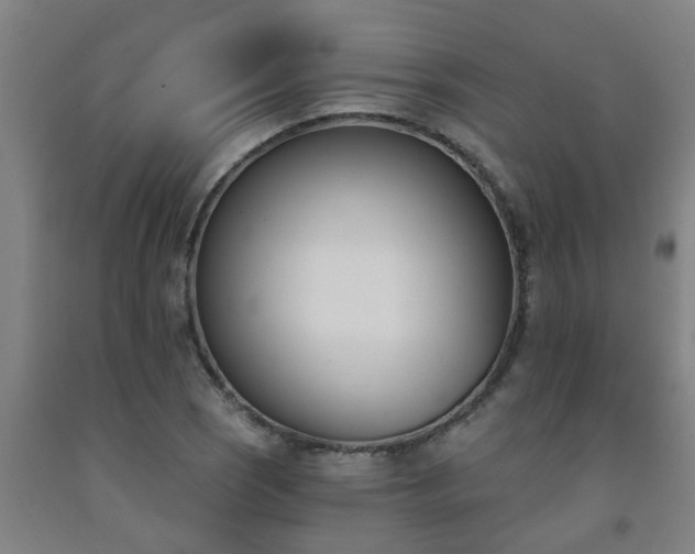 X0000093091121200709261223