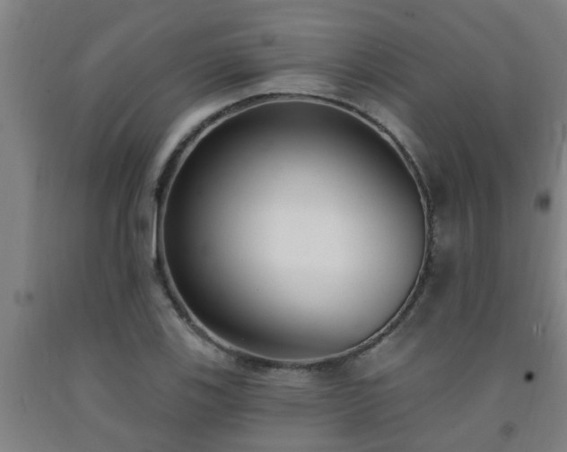 X0000093091123200709261223