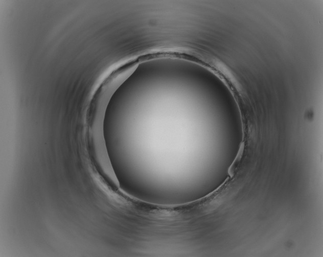 X0000093091124200709261223