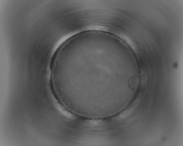 X0000093091125200709261223