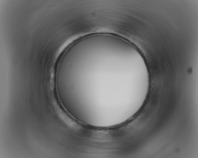X0000093091126200709261223