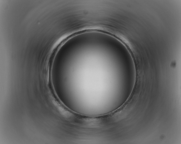 X0000093091127200709261223