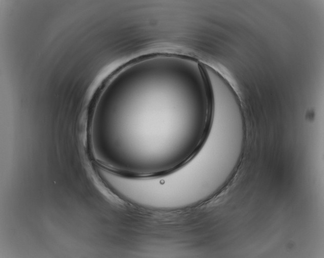 X0000093091128200709261223
