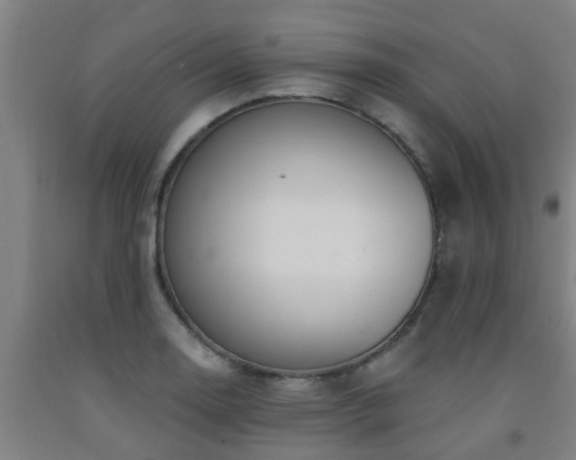 X0000093091130200709261223