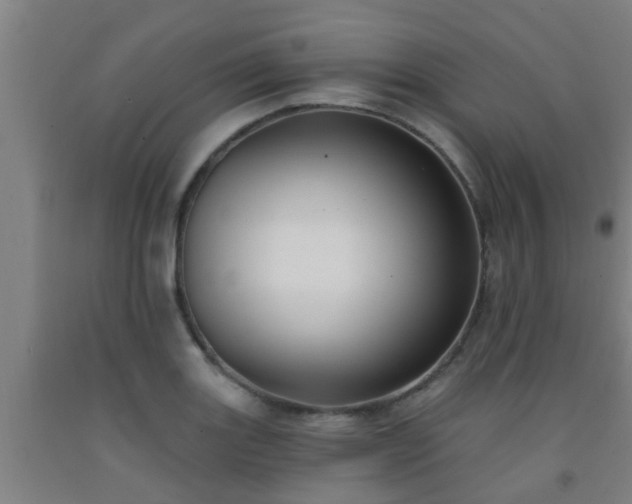 X0000093091131200709261223