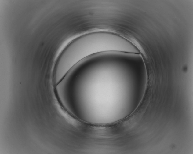 X0000093091132200709261223
