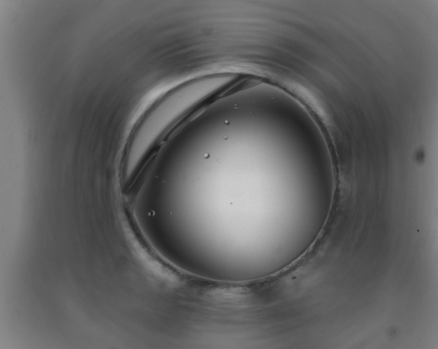 X0000093091133200709261223