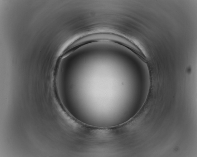 X0000093091134200709261223