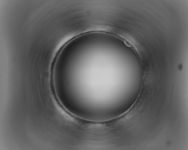 X0000093091135200709261223