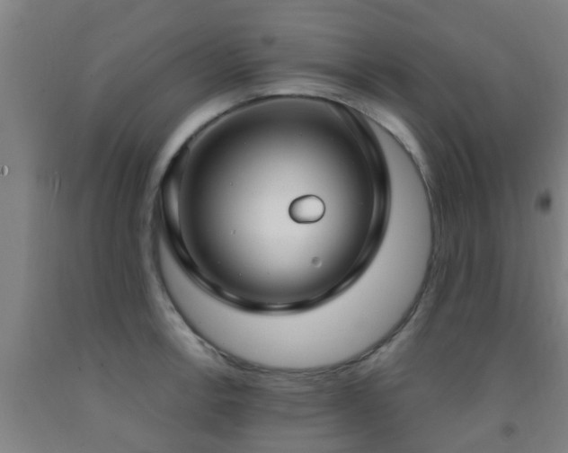 X0000093091138200709261223