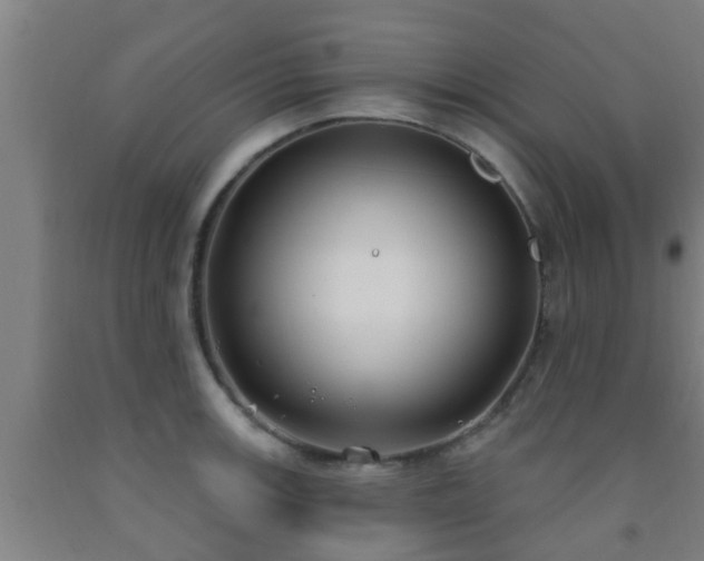 X0000093091139200709261223