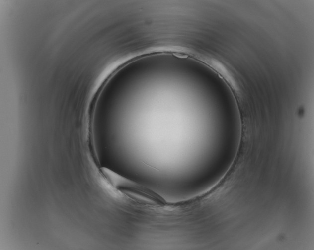 X0000093091140200709261223