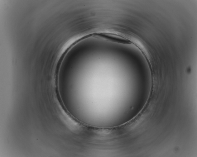 X0000093091141200709261223