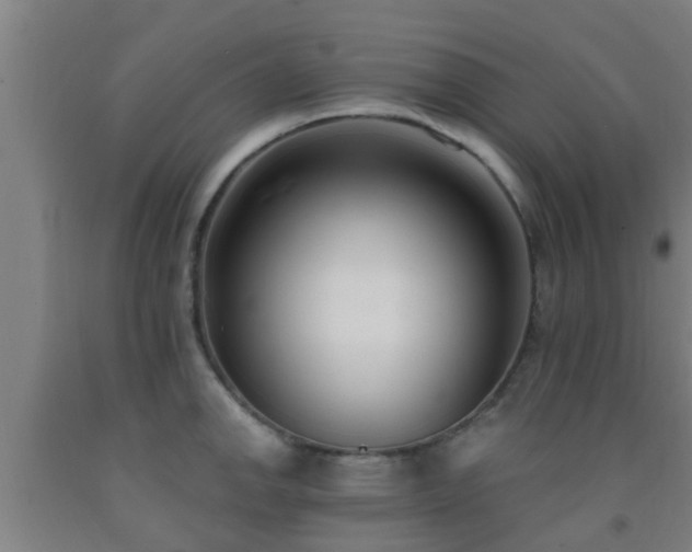 X0000093091142200709261223
