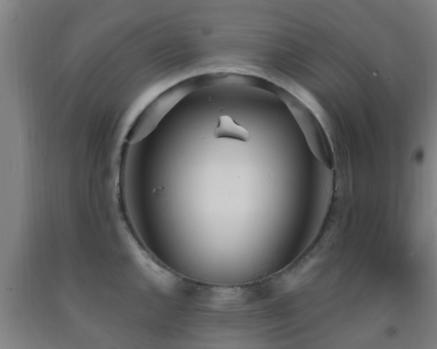 X0000093091144200709261223