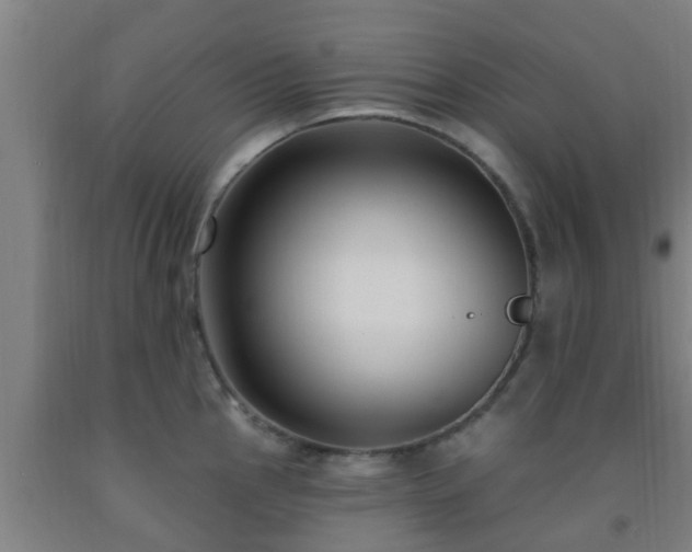 X0000093091145200709261223