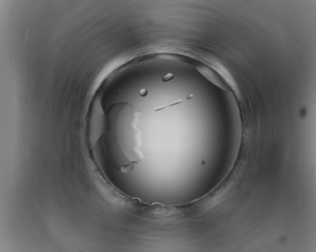X0000093091146200709261223