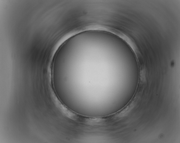 X0000093091150200709261223