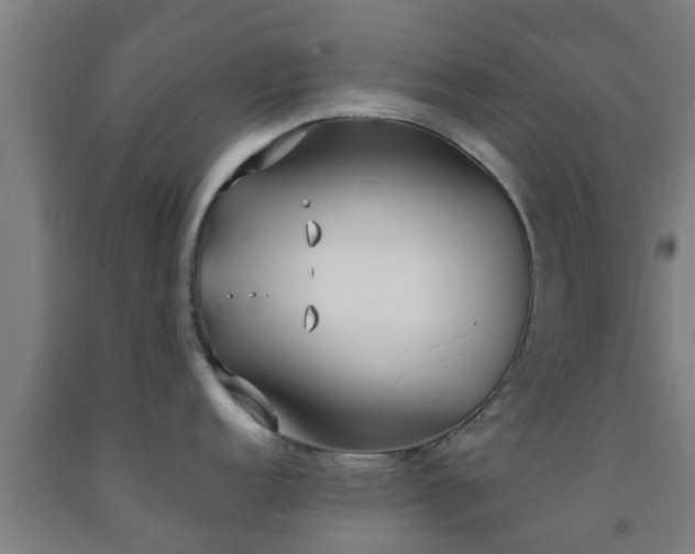X0000093091152200709261223