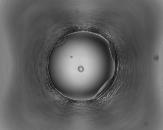 X0000093091153200709261223
