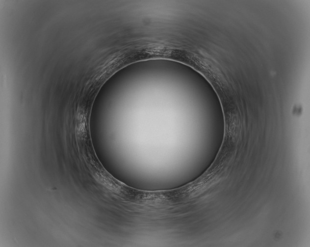 X0000093091154200709261223