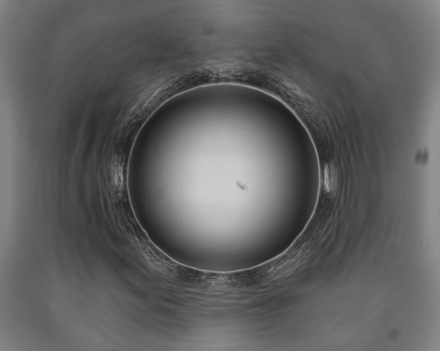 X0000093091155200709261223
