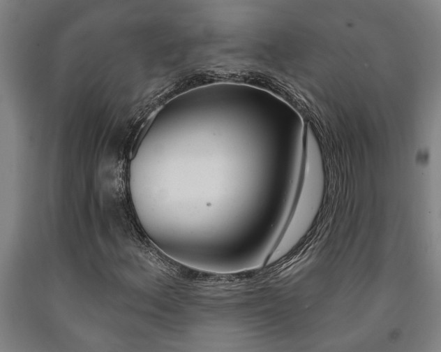X0000093091156200709261223