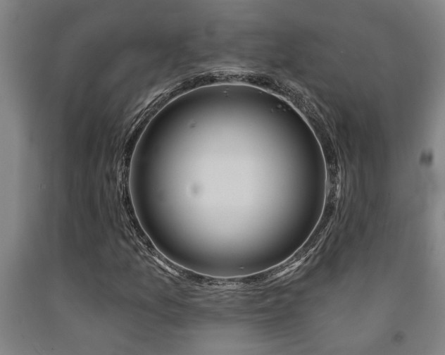 X0000093091157200709261223