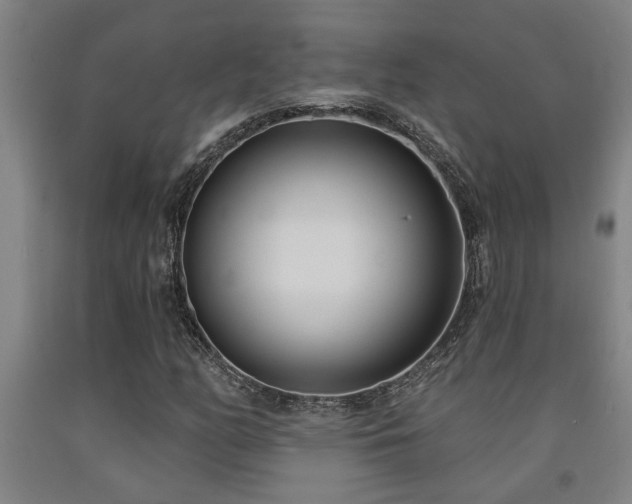 X0000093091158200709261223