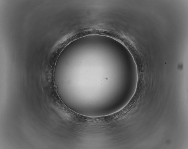 X0000093091159200709261223