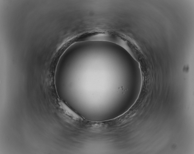 X0000093091160200709261223